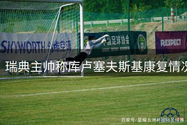瑞典主帅称库卢塞夫斯基康复情况良好